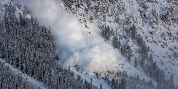 Avalansa Austria FOTO Shutterstock