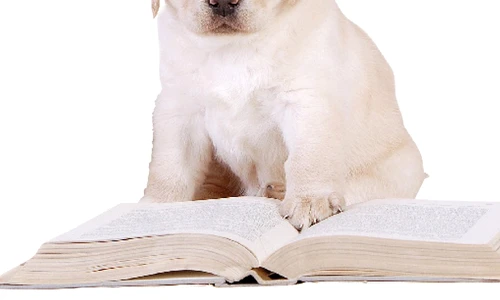 1 46970 original jpg jpeg