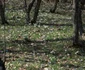 Primăvara în nordul Dobrogei FOTU Turism Măcin