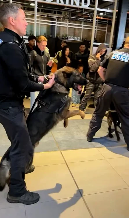 Marea Britanie. În Manchester  a fost nevoie de intervenţia poliţiei