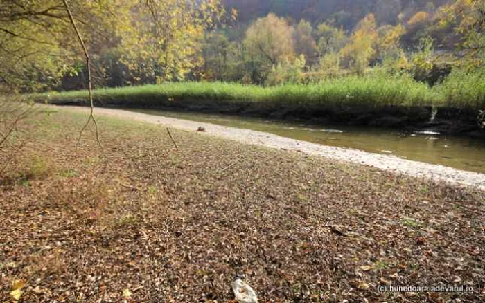 lacul cincis la izvoare