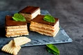 Prajitura cu biscuiti, caramel si glazura de ciocolata  Sursa foto shutterstock 530690857 jpg