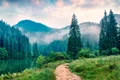 harghita adobestock jpg