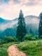 harghita adobestock jpg