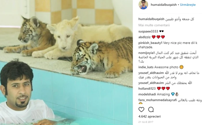 animale de comapnie dubai foto instagram Humaid AlBuQaish