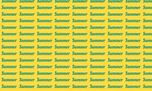 0 eyes 1 summer jpg