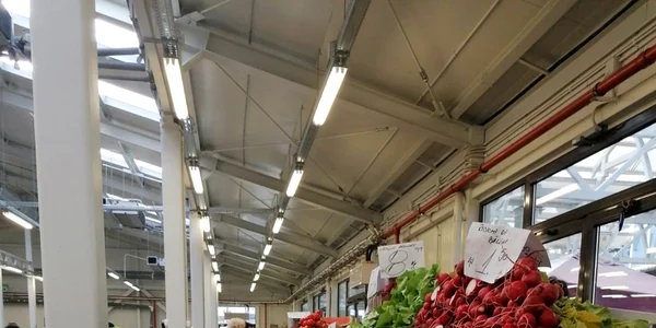 calarasi preturi piata FOTO I