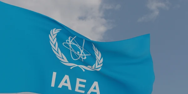 IAEA Fly Of Swallow Studio  Shutterstock com jpg