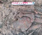 Foto: Facebook / Muzeul Județean de Istorie și Arheologie Prahova