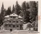 Căi ferate forestiere din Valea Jiului Anul 1956 Foto Richard Marschalko (27) jpg
