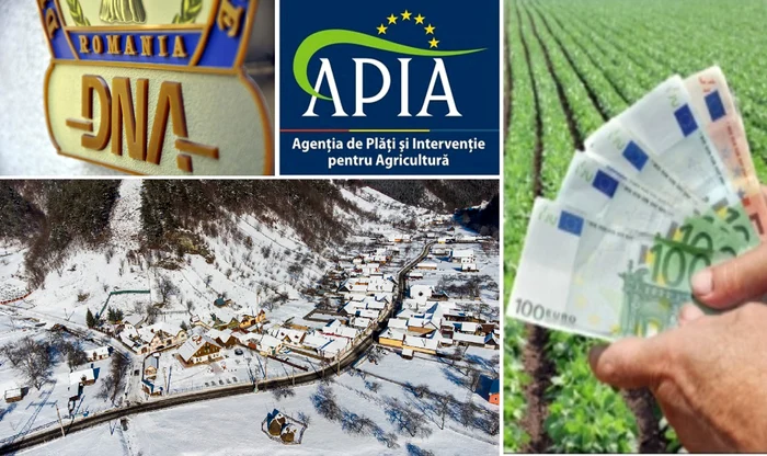Fraudă cu fonduri europene prin APIA la Primăria Râu Sadului din Sibiu Foto Colaj jpg