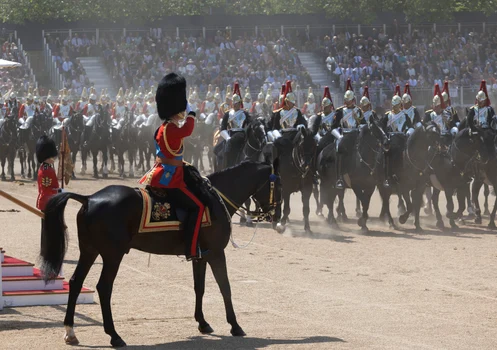 Prințul William, repetiții pentru Trooping the colour, Profimedia
