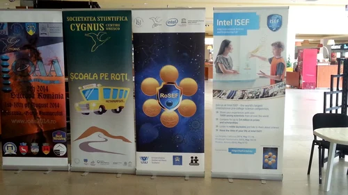rosef suceava