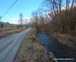 Satul Negoiu din Hunedoara Foto Daniel Guță ADEVĂRUL (2) jpg