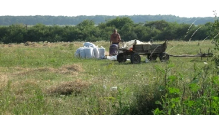 Oradea: Se verifică datele din Registrul Agricol