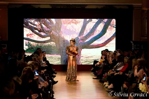 15095692 1093154157472709 8837322727338622401 n jpeg