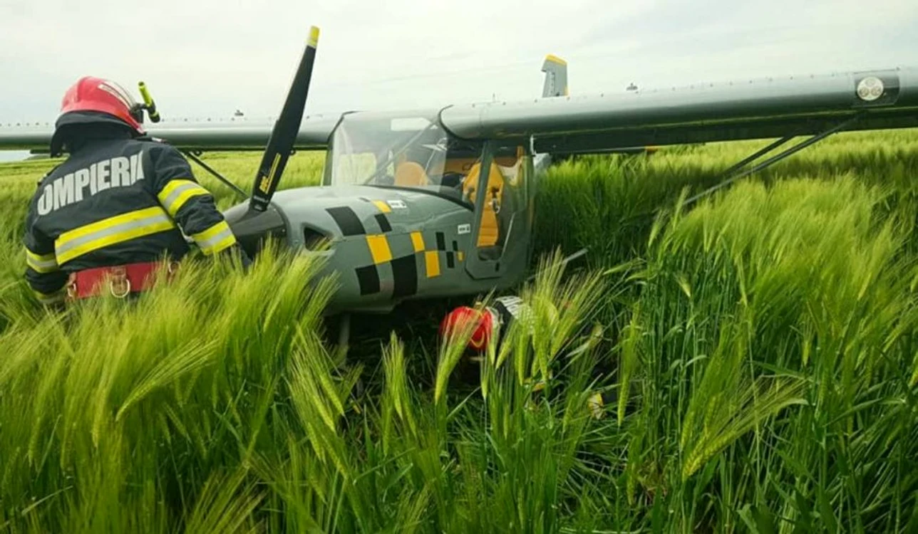Un avion a aterizat forțat într-un lan de grâu la Sinești. Foto: Click. 