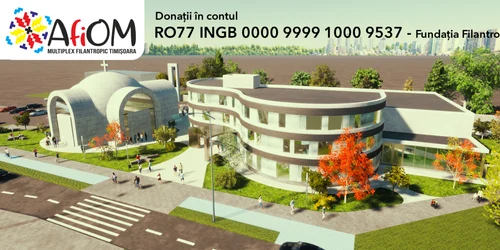 Muliplex filantropic la Timişoara