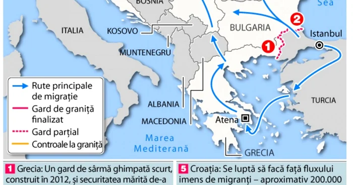 Infografie imigranti blocati intre serbia si croatia