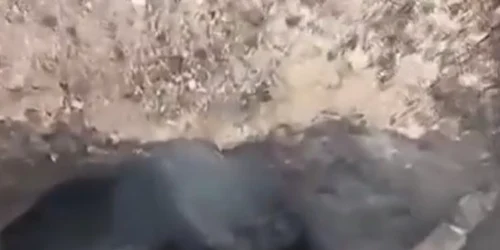 Soldat rus prins in transee FOTO Captura BFMTV jpg