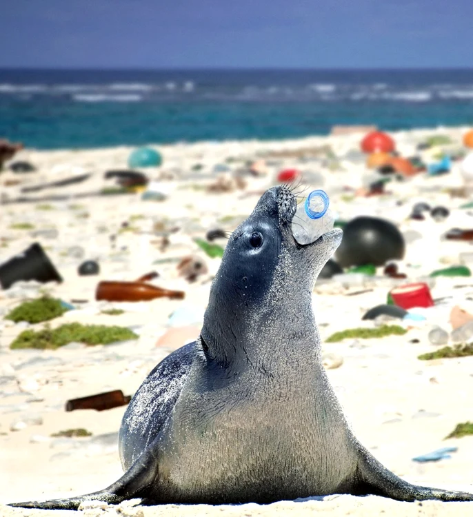 Imagine care prezintă poluarea oceanelor FOTO Paulo Di Olivier/ ARDEA Caters News