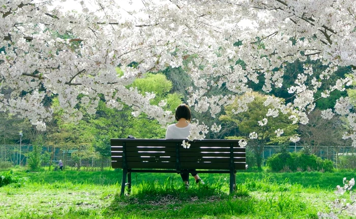 Filozofii japoneze