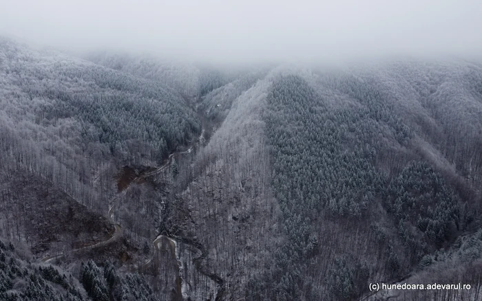 Fața Cetei din Hunedoara. Foto: Daniel Guță. ADEVĂRUL