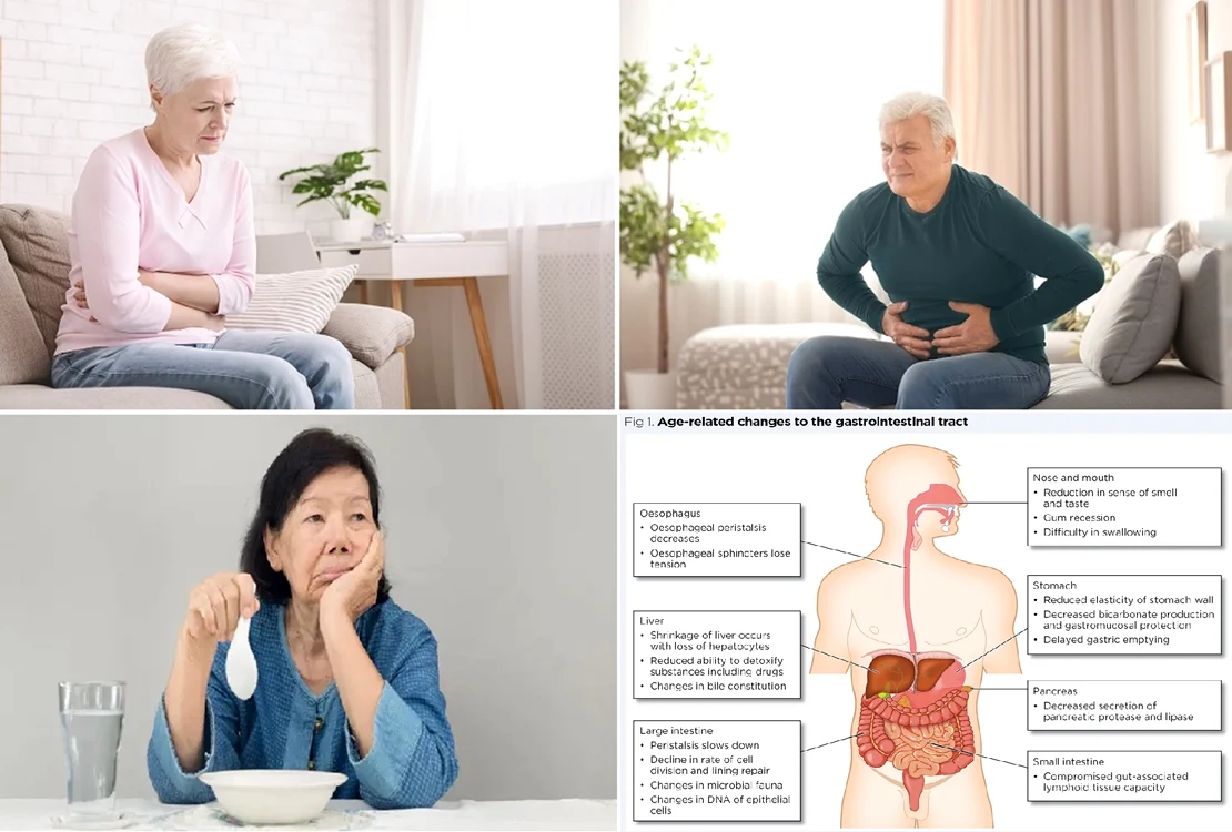 Colaj imagini legate de problemele digestive care se intensifică pe măsură ce îmbătrânim DMS
