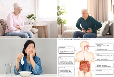 Problemele digestive se intensifică pe măsură ce îmbătrânim Colaj DMS
