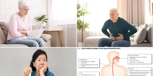 Problemele digestive se intensifică pe măsură ce îmbătrânim Colaj DMS