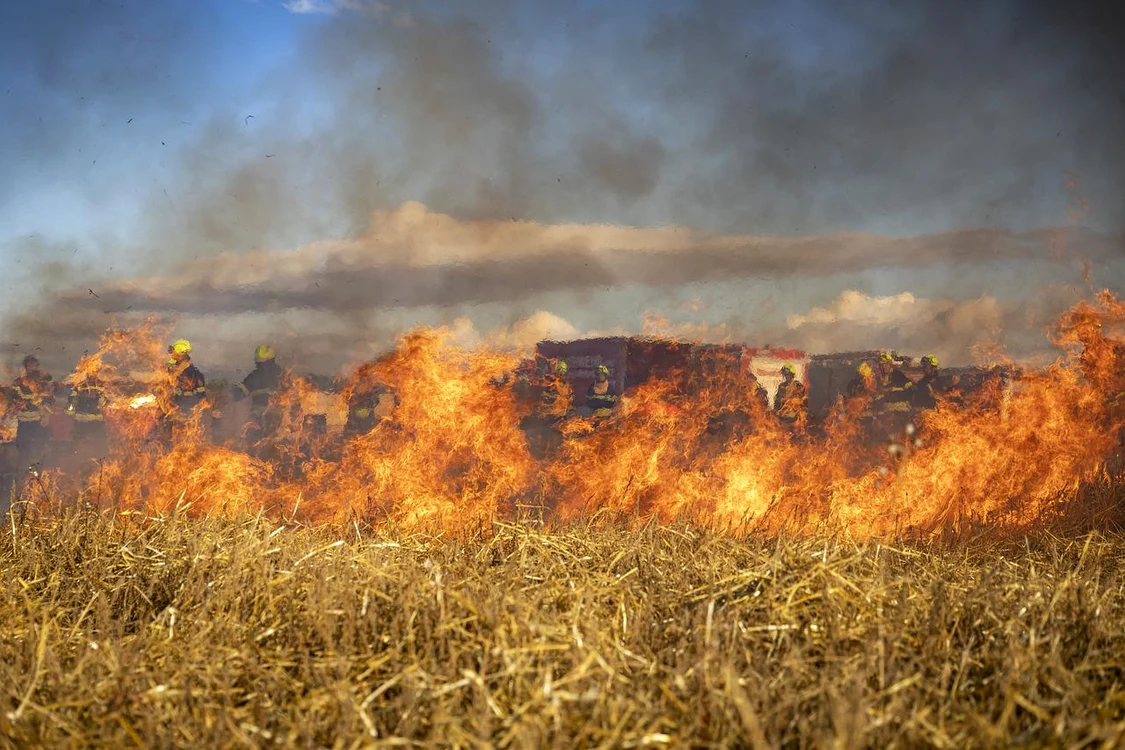 Incendiile de vegetatie sunt la ordinea zilei FOTO Arhivă