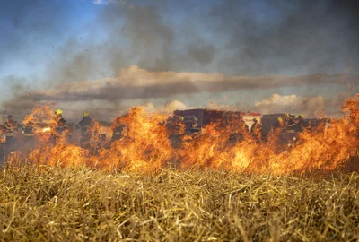 incendiu de vegetatie