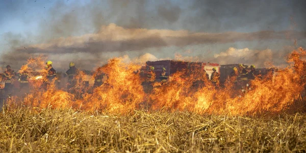 incendiu de vegetatie