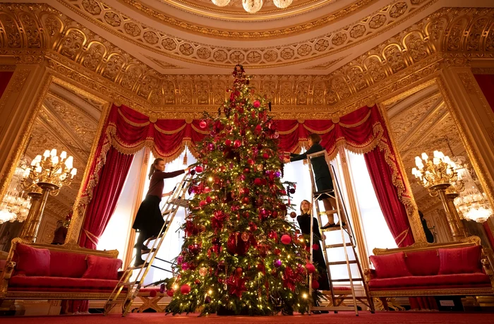 Regina Elisabeta a venit la Windsor, împreună cu câinele Candy, ca să supravegheze operațiunea de împodobire a casteluluifoto: Profimedia