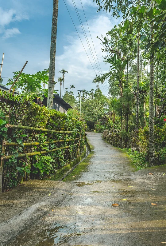 Mawlynnong/FOTO: Wikipedia