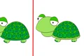 diferente imagini jpg