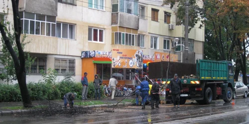 Brăila: Stare de alertă din cauza unui copac doborât peste cablurile de tramvai şi o maşină