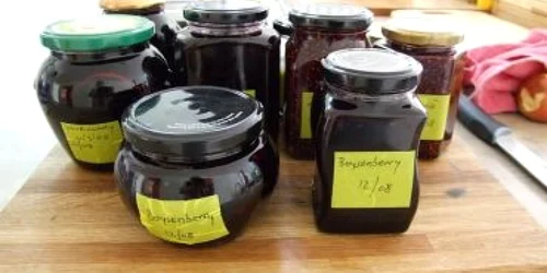 Bistriţa : Cu borcanul la control - Adevărul la minut