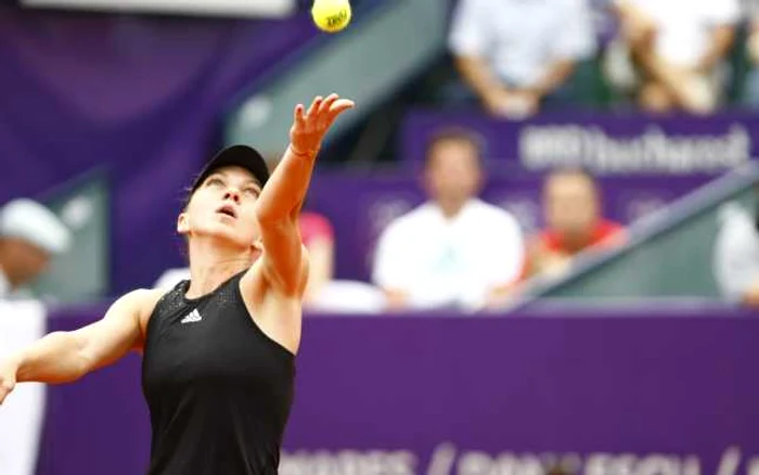 Simona Halep FOTO David Muntean