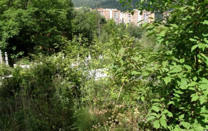 cimitir lupeni foro iosif bodo