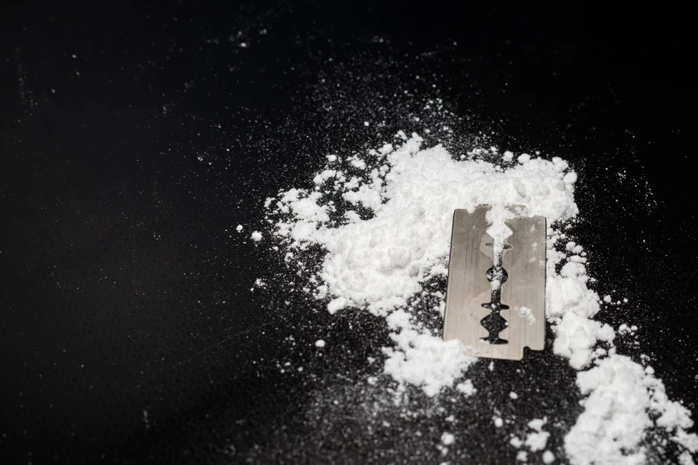 Laboratoare ilegale de droguri, descoperite la percheziții în România, Republica Moldova, Cehia și Ungaria. Au fost arestate 16 persoane