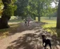 Archie și Lilibet la plimbare în Cotswolds.