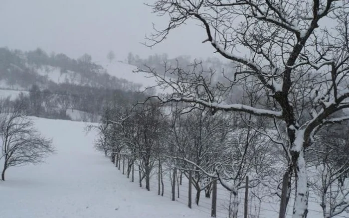 comuna Bătrâni, judeţul Prahova (foto: Laura Radu)