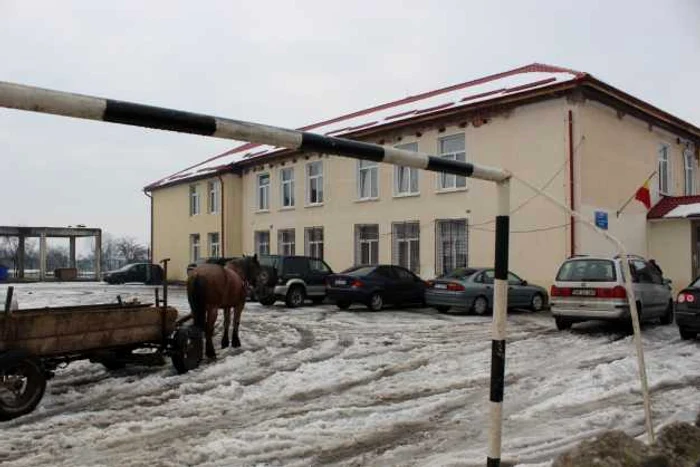 vot tara oasului