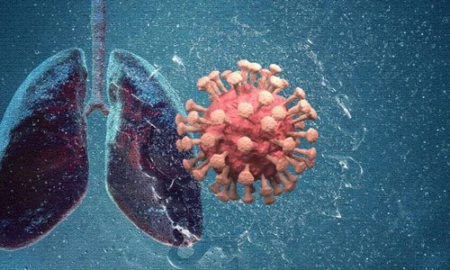 1 shutterstock 1709893048 jpg jpeg