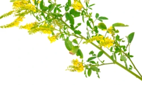 1 73014 original jpg jpeg