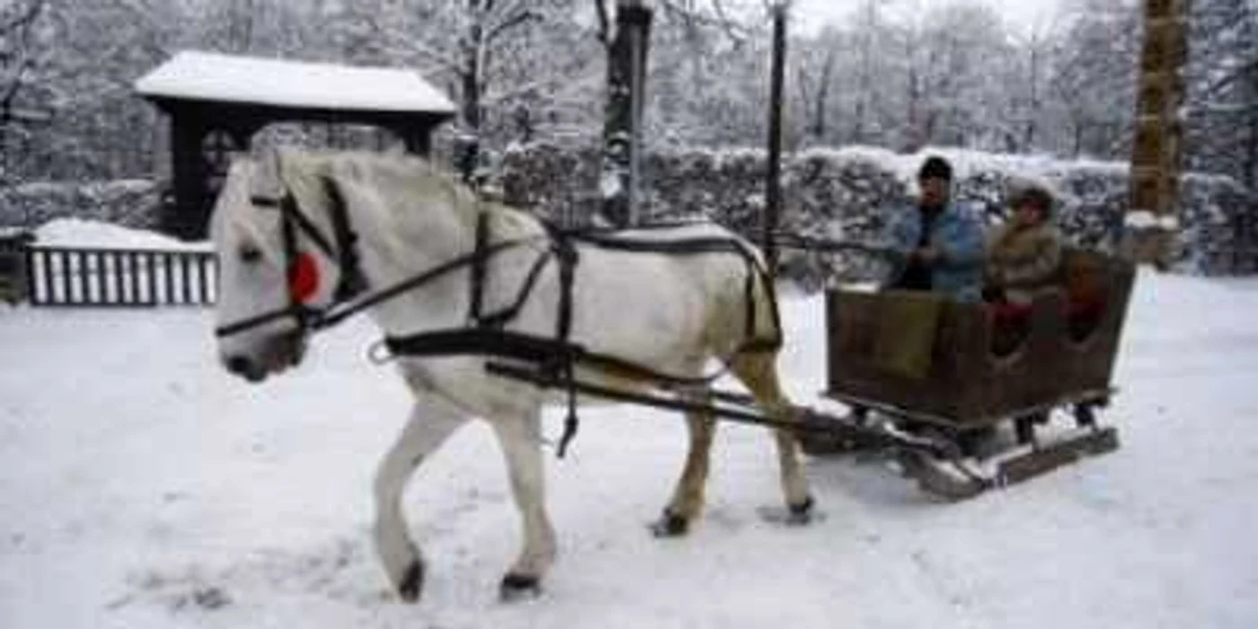 Turiştii sunt aşteptaţi după ce va mai ninge la o plimbare pe aleile muzeului