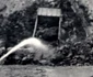 Amenajarea hidroeenergetică, imagini de arhivă Hidroconstrucția (20) JPG