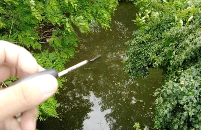Accident straniu într-un sat din Vâlcea - o maşină cu trei pasageri printre care şi un copil a plonjat într-un lac Foto Adevărul