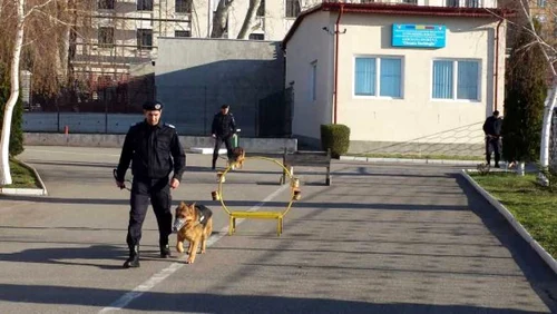 caini de serviciu la jandarmeria mehedinti FOTO Corina Macavei 